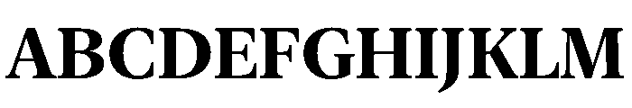 New York Large Bold Font UPPERCASE