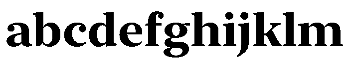 New York Large Bold FONT