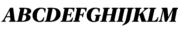 New York Large Heavy Italic Font UPPERCASE