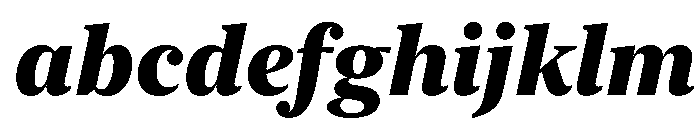New York Large Heavy Italic FONT