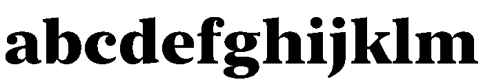 New York Large Heavy FONT