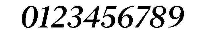 New York Large Medium Italic Font OTHER CHARS