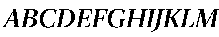 New York Large Medium Italic Font UPPERCASE