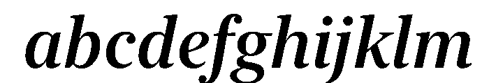New York Large Medium Italic FONT