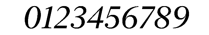 New York Large Regular Italic Font OTHER CHARS