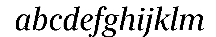 New York Large Regular Italic FONT