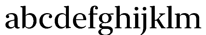 New York Large Regular FONT