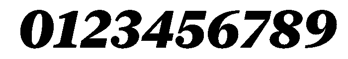 New York Medium Black Italic Font OTHER CHARS