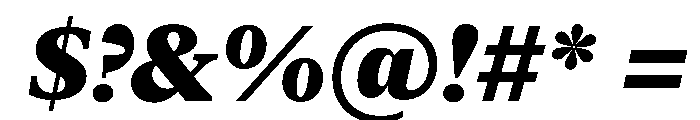 New York Medium Black Italic Font OTHER CHARS