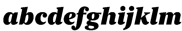 New York Medium Black Italic FONT