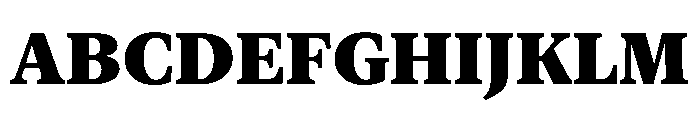 New York Medium Black Font UPPERCASE