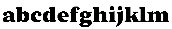 New York Medium Black FONT