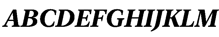 New York Medium Bold Italic Font UPPERCASE