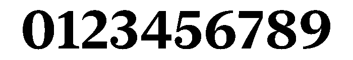 New York Medium Bold Font OTHER CHARS