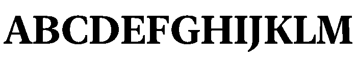 New York Medium Bold Font UPPERCASE