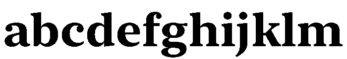 New York Medium Bold FONT