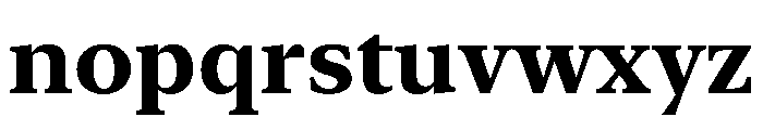 New York Medium Bold Font LOWERCASE