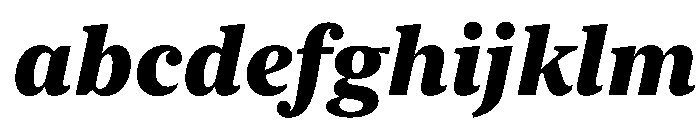 New York Medium Heavy Italic FONT