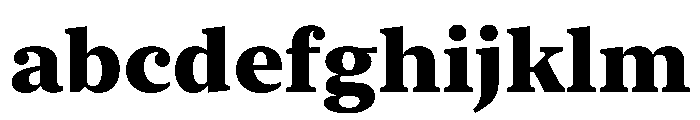 New York Medium Heavy FONT