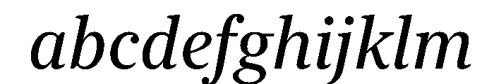 New York Medium Regular Italic FONT