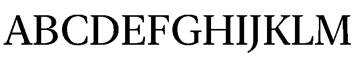 New York Medium Regular Font UPPERCASE