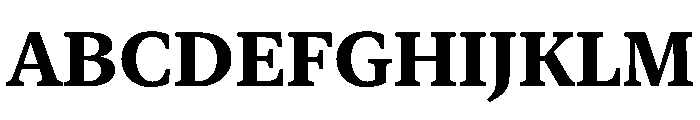 New York Small Bold Font UPPERCASE