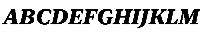 New York Small Heavy Italic Font UPPERCASE