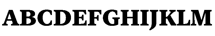 New York Small Heavy Font UPPERCASE