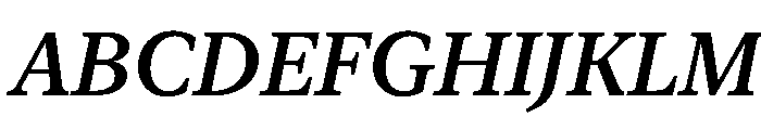 New York Small Medium Italic Font UPPERCASE