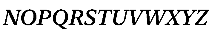 New York Small Medium Italic Font UPPERCASE