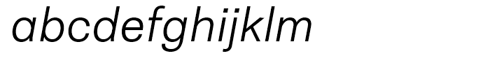 Neogrotesk Essential Alt Light Italic Font LOWERCASE