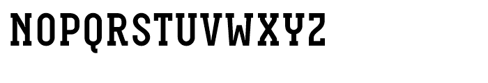 Neubau Serif Bold Font UPPERCASE