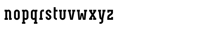 Neubau Serif Bold Font LOWERCASE