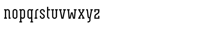 Neubau Serif Regular Font LOWERCASE