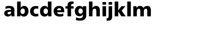 Neue Frutiger Black Font LOWERCASE