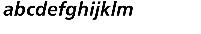 Neue Frutiger Bold Italic Font LOWERCASE