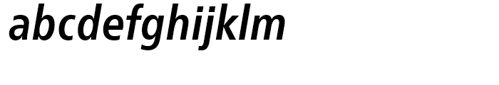 Neue Frutiger Condensed Bold Italic Font LOWERCASE