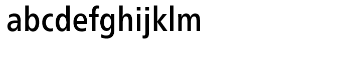 Neue Frutiger Condensed Medium Font LOWERCASE