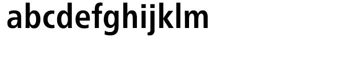 Neue Frutiger Cyrillic Condensed Bold Font LOWERCASE
