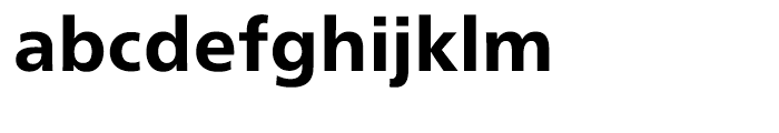 Neue Frutiger Cyrillic Heavy Font LOWERCASE