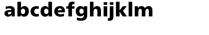 Neue Frutiger Devanagari Black Font LOWERCASE