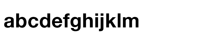 Neue Helvetica Arabic 75 Bold Font LOWERCASE