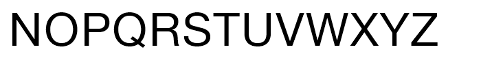 Neue Helvetica eText 55 Roman Font UPPERCASE