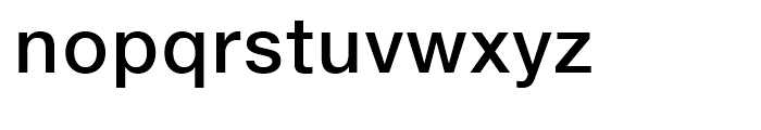 Neue Helvetica eText 65 Medium Font LOWERCASE