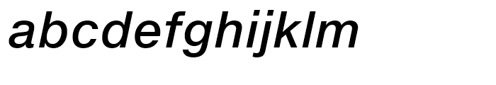 Neue Helvetica eText 66 Medium Italic Font LOWERCASE