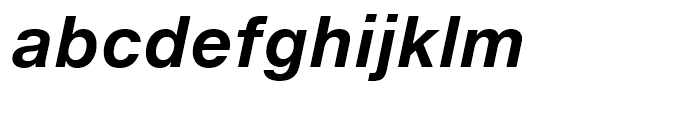 Neue Helvetica eText 76 Bold Italic Font LOWERCASE