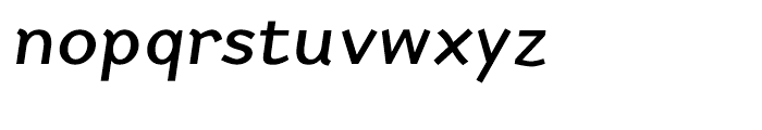 Newt Bold Italic Font LOWERCASE