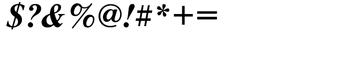 Newton Bold Italic Font OTHER CHARS