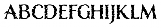 Nelson Rugged Font LOWERCASE