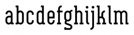 Neubau Serif Regular Font LOWERCASE